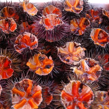 Vista Mare Da Mary Appartement