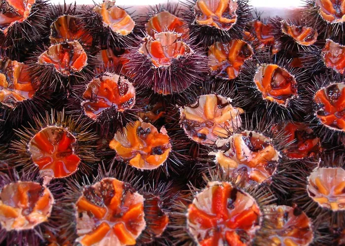 Vista Mare Da Mary Апартаменты